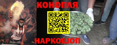 гашик Канаш