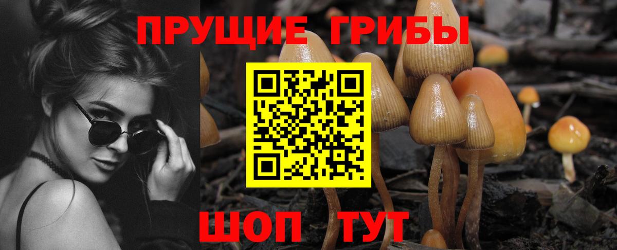 Галлюциногенные грибы ЛСД Курчалой